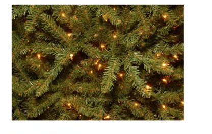 National Tree Company 10 ft. Pre-Lit Dunhill Fir Hinged Artificial Christmas Tree with Clear Lights Open Box