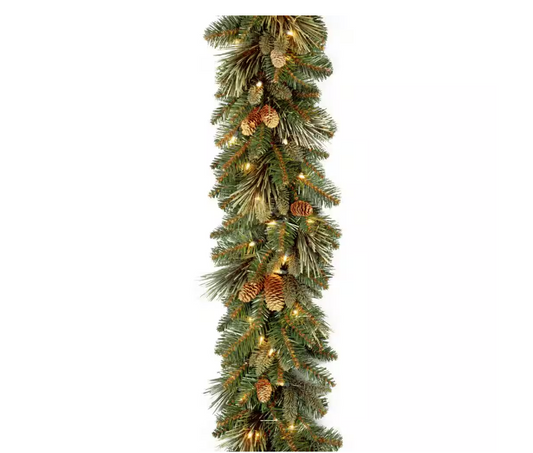 Carolina Pine 9 ft. Garland with Clear Lights