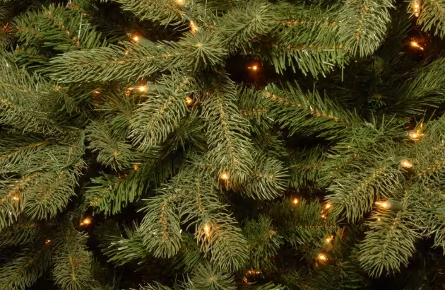 National Tree Company 12 Foot Pre-Lit Downswept Douglas Fir Artificial Christmas Tree with Clear Lights Open Box