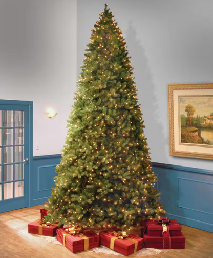 National Tree Company 12 Foot Pre-Lit Downswept Douglas Fir Artificial Christmas Tree with Clear Lights Open Box