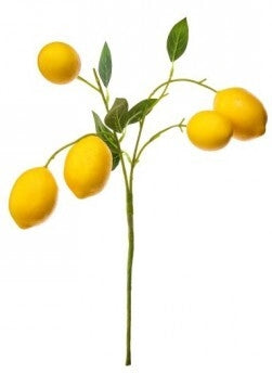 14 Inch Lemon Branch