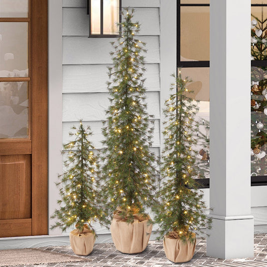Costco Burlap LED Alpine Trees Set of 3 Open Box