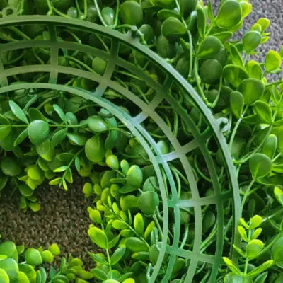 22 Inch Green Round Boxwood Wreath