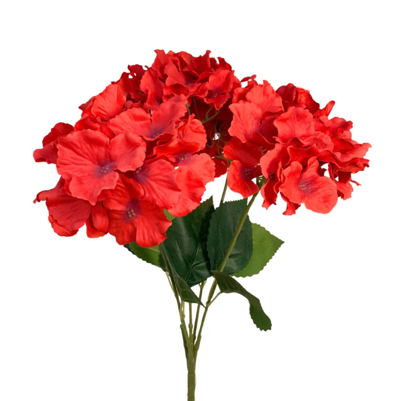 19 Inch Red Cypress Garden Hydrangea Bush