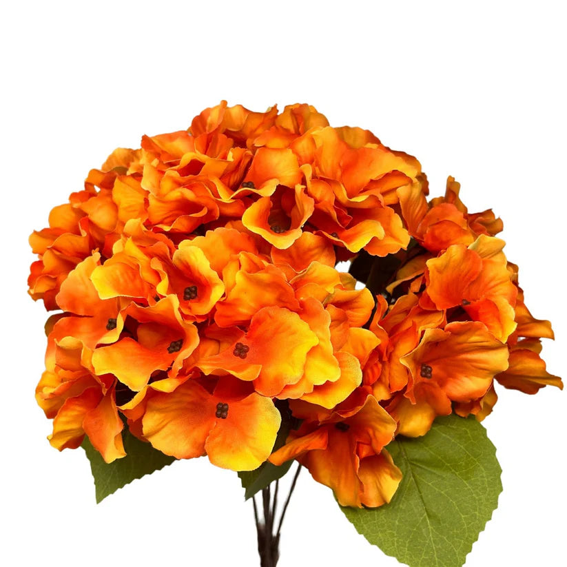 18 Inch Autumn Meadows Hydrangea Bush