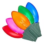 Home Accents Holiday 25 Multi-Colored Incandescent C9 Lights Open Box