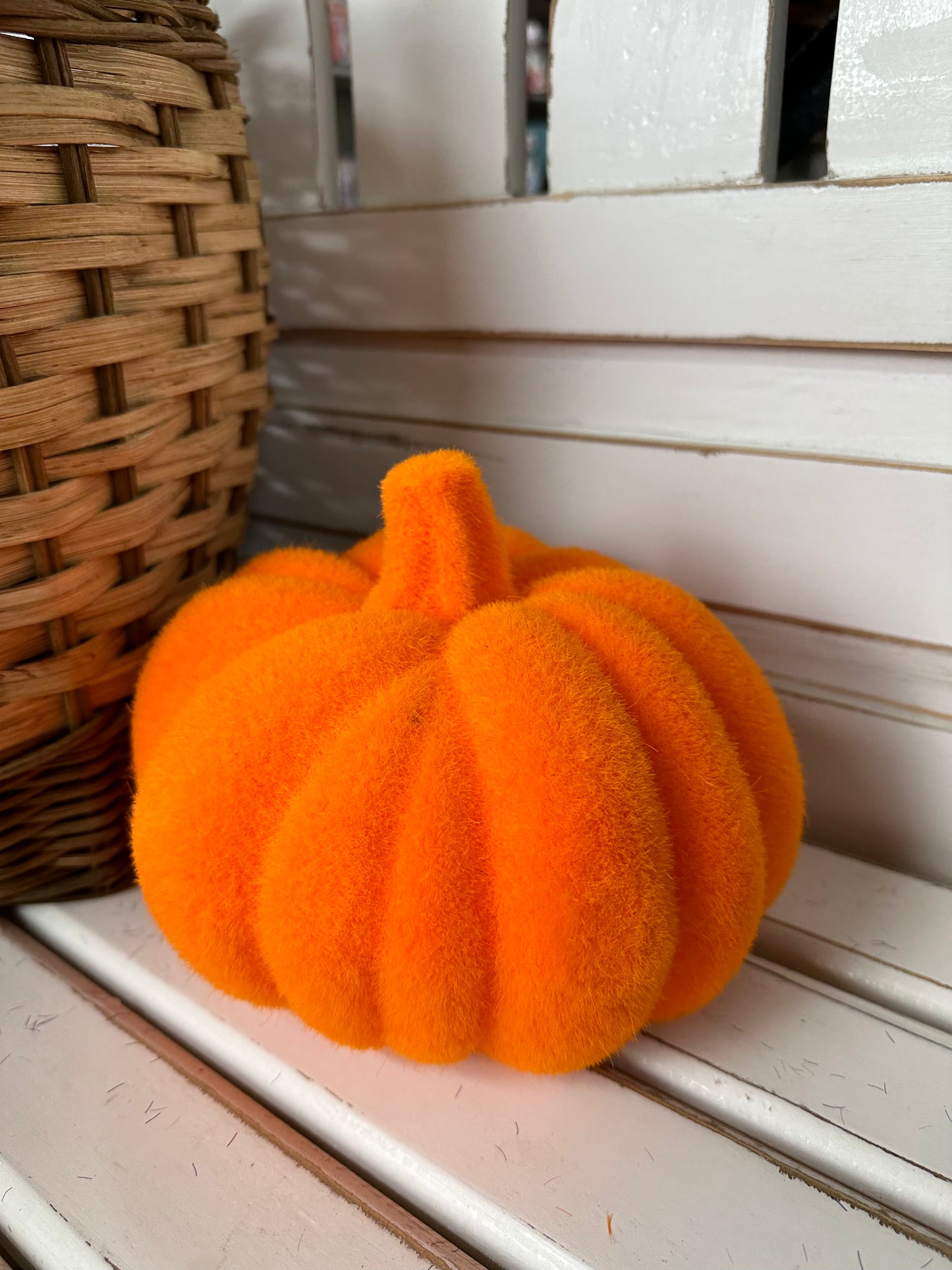 Flocked Pumpkin With Stem Four Assorted Colors 7.5 Inch