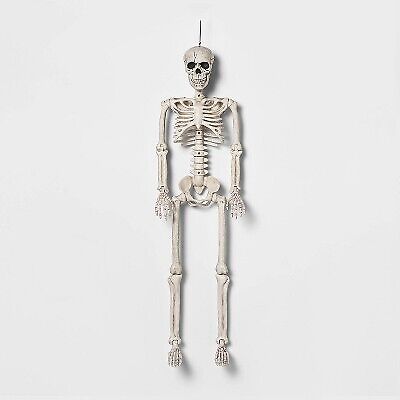 Hyde And Eek 36 Inch Posable Skeleton