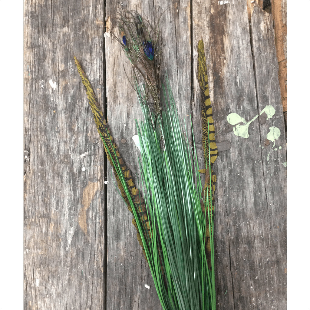 29.25" Onion Grass Bush Spray with Peacock Feather