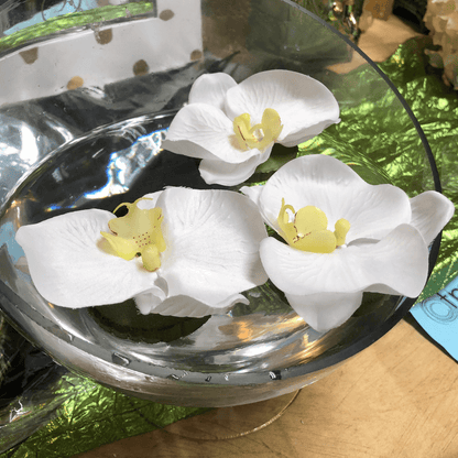 4" Floating Phalaenopsis Bloom (Box of 3)