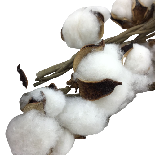 5 Foot Natural Cotton Garland