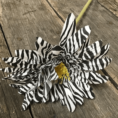 6 Inch Black White Zebra Striped Gerbera Daisy