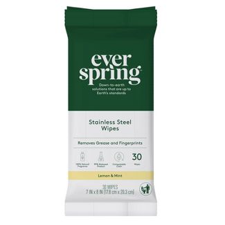 Ever Spring Stainless Steel Wipes