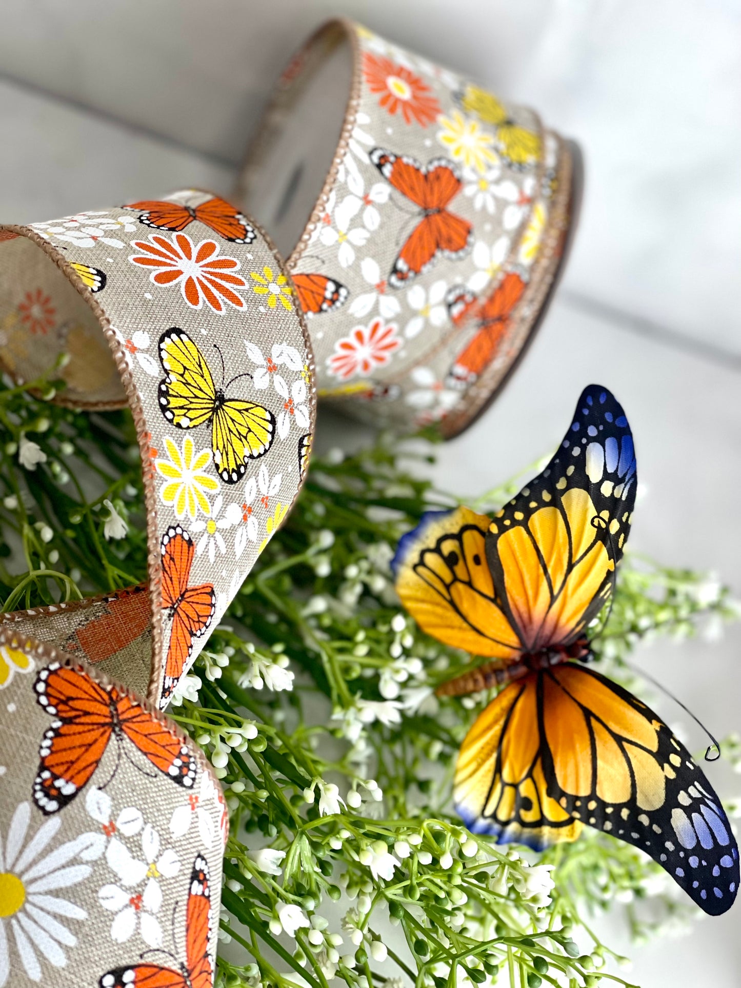 2.5 Inch Butterfly And Daisy Ribbon