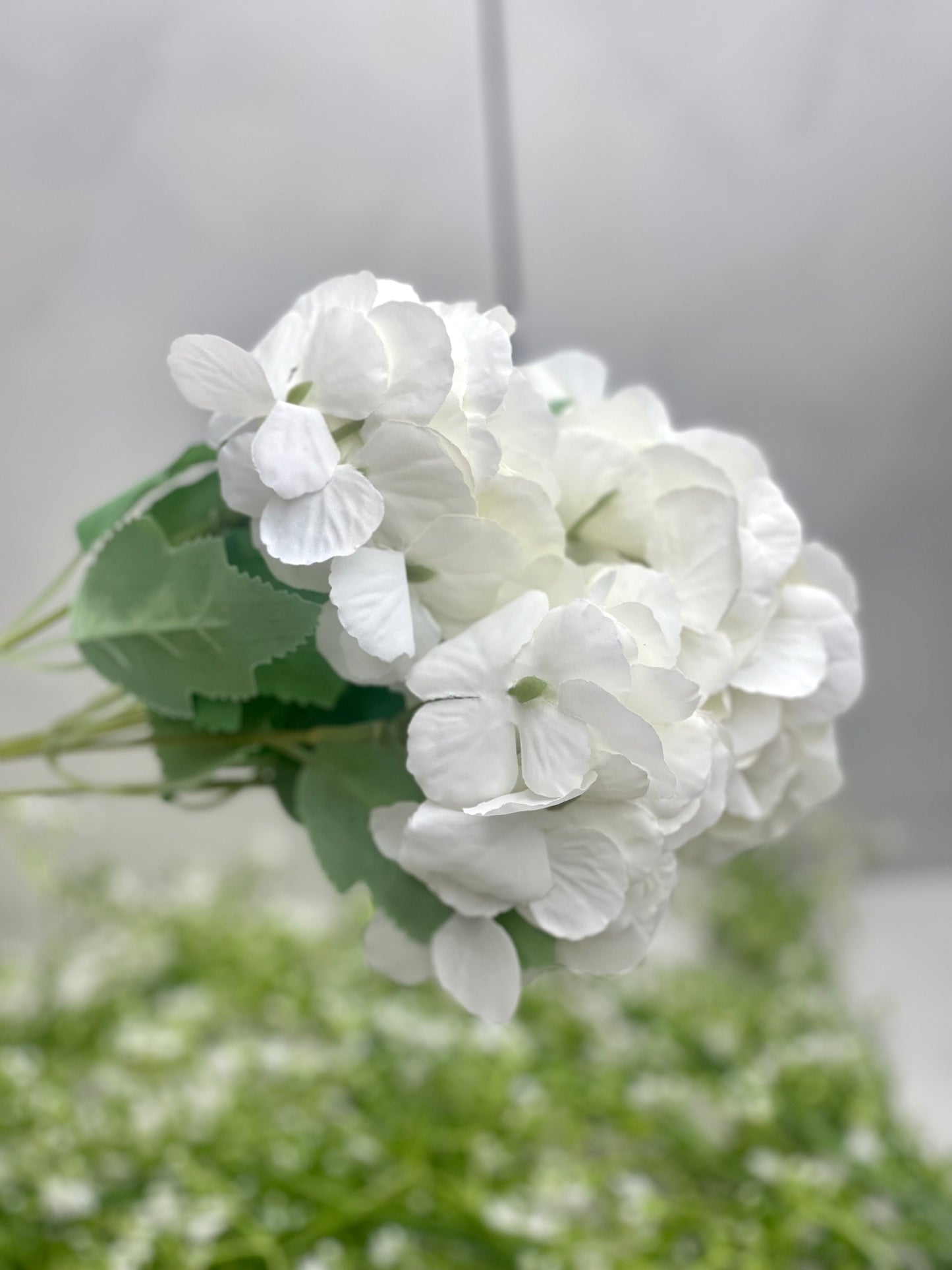 White Mini Hydrangea Bush