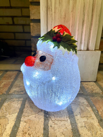 Santa LED Light Up Globe