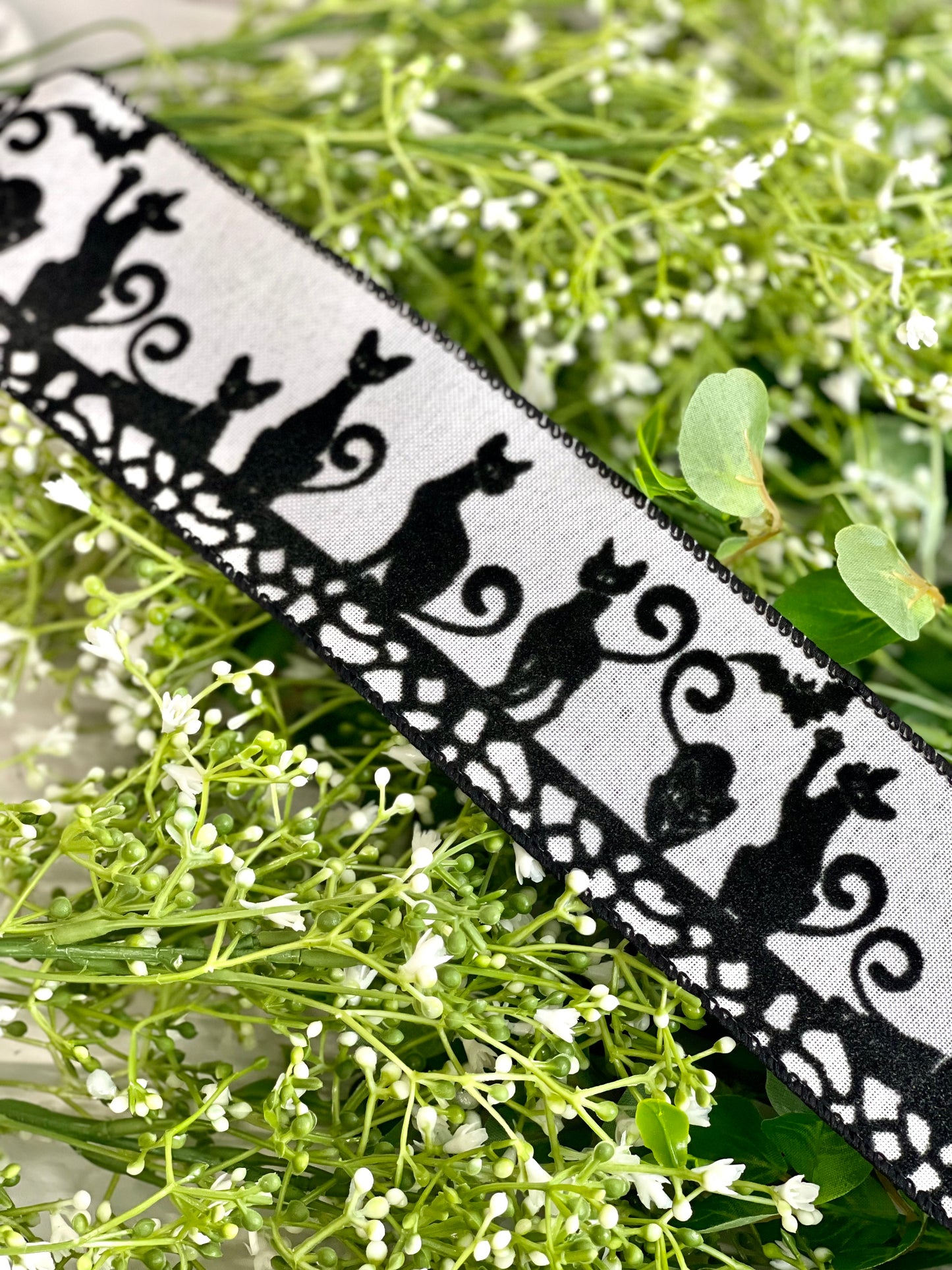 2.5 Inch White With Black Cats And Bats Ribbon