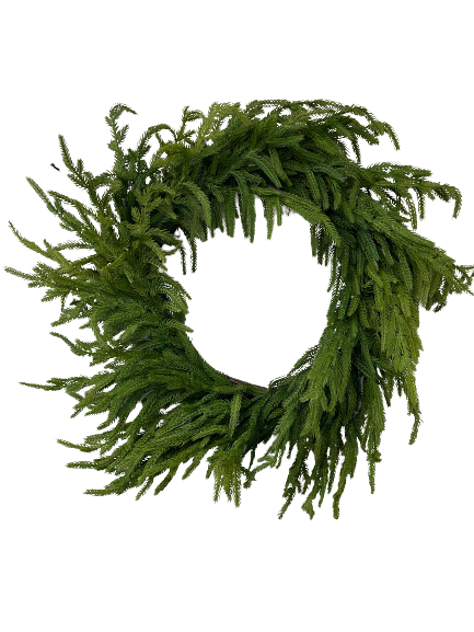 24 Inch Natural Touch Granch Norfolk Pine Wreath