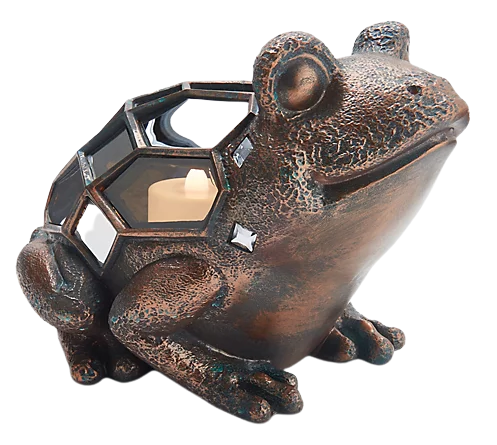 Mirrored Frog LED Lit Luminary