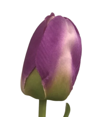 Pink Purple Tulip Spray