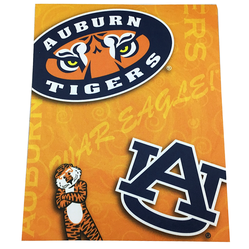 Auburn Laptop Canvas Skin