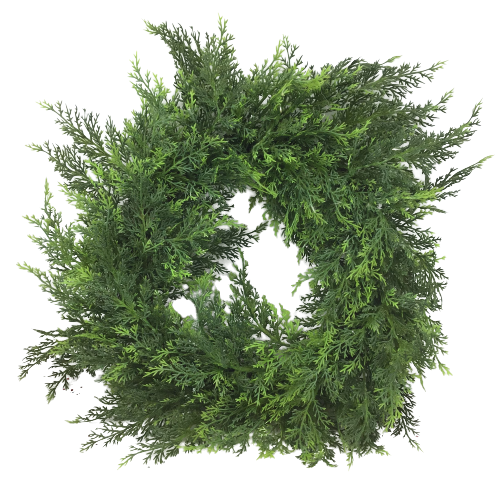 24 Inch Western Leyland Cypress Wreath