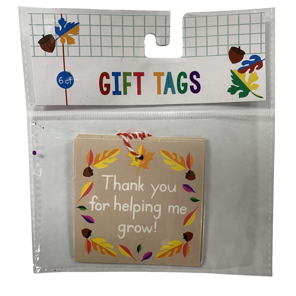 Teacher Six Count Gift Tags
