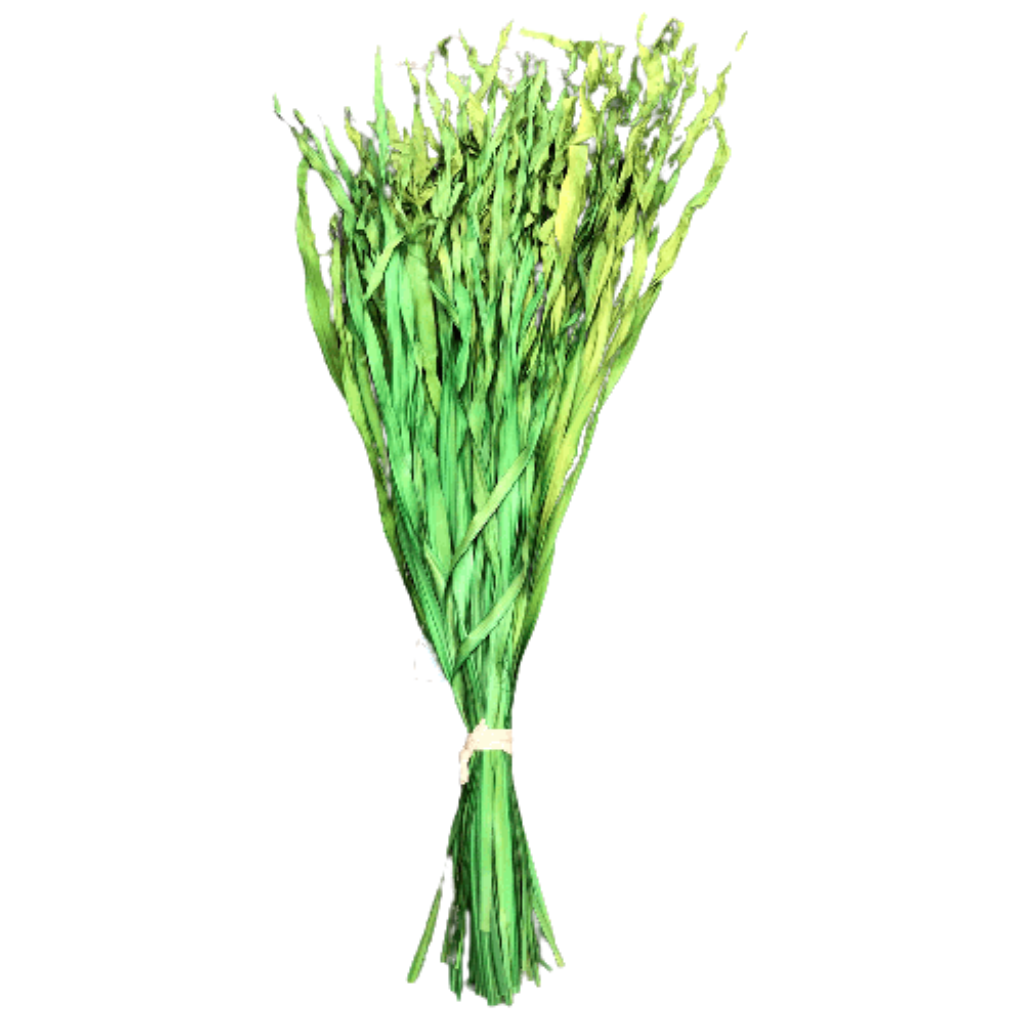34 Inch Floral Firegrass  2 Colors