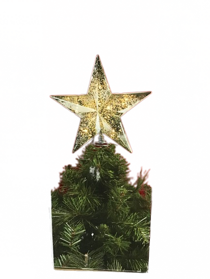 Home Accents Holiday 8 Inch Star Tree Topper