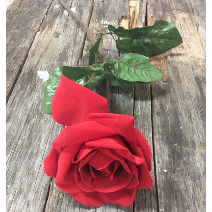 Red Jumbo Rose with 36" Stem