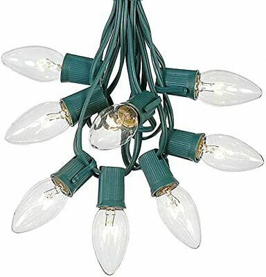 Home Accents Holiday 25 Clear Incandescent C9 Lights