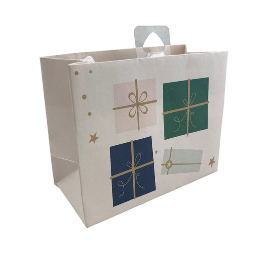 Minted Presents Small Gift Bag
