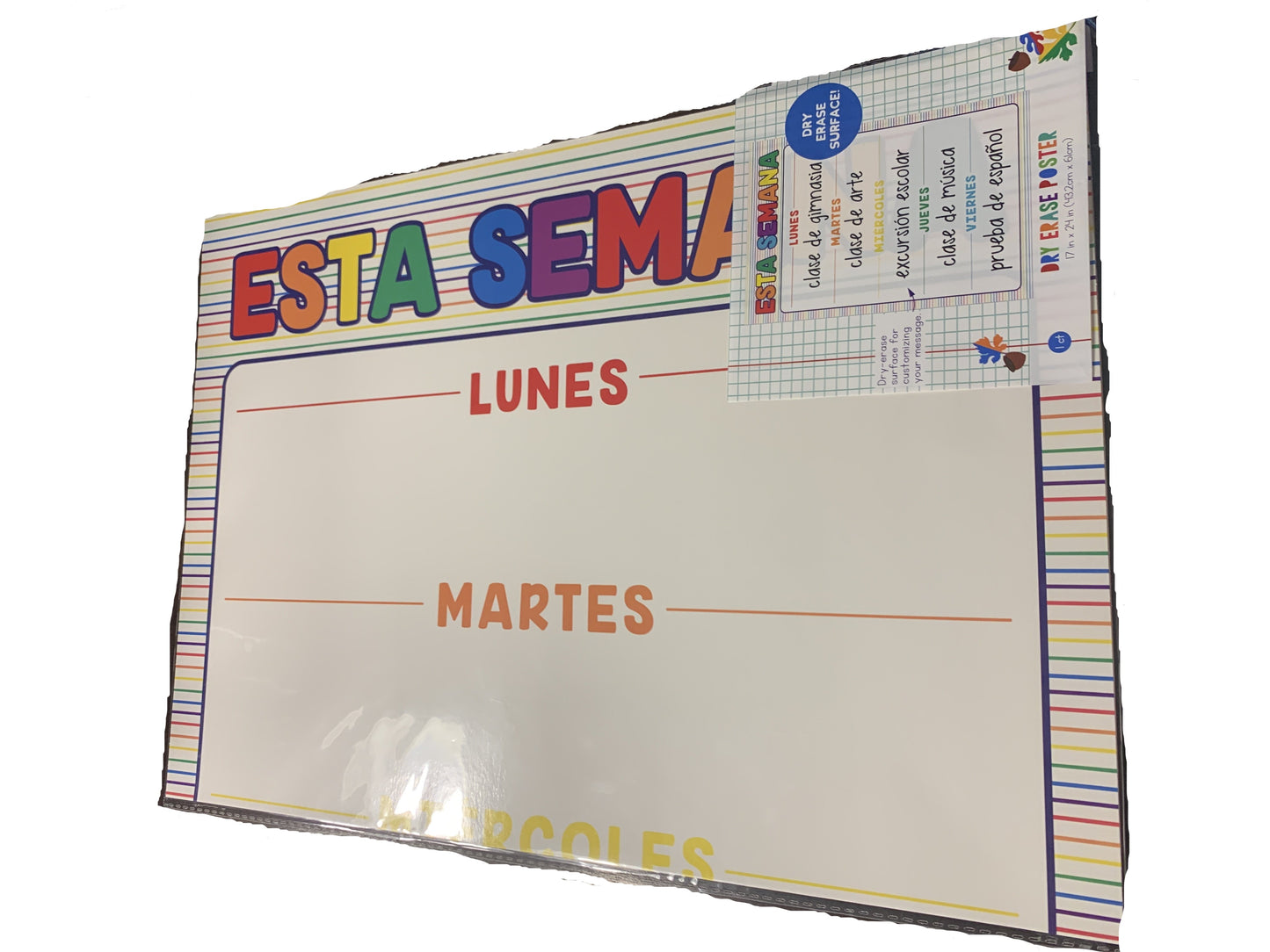 Spanish Dry Erase Poster