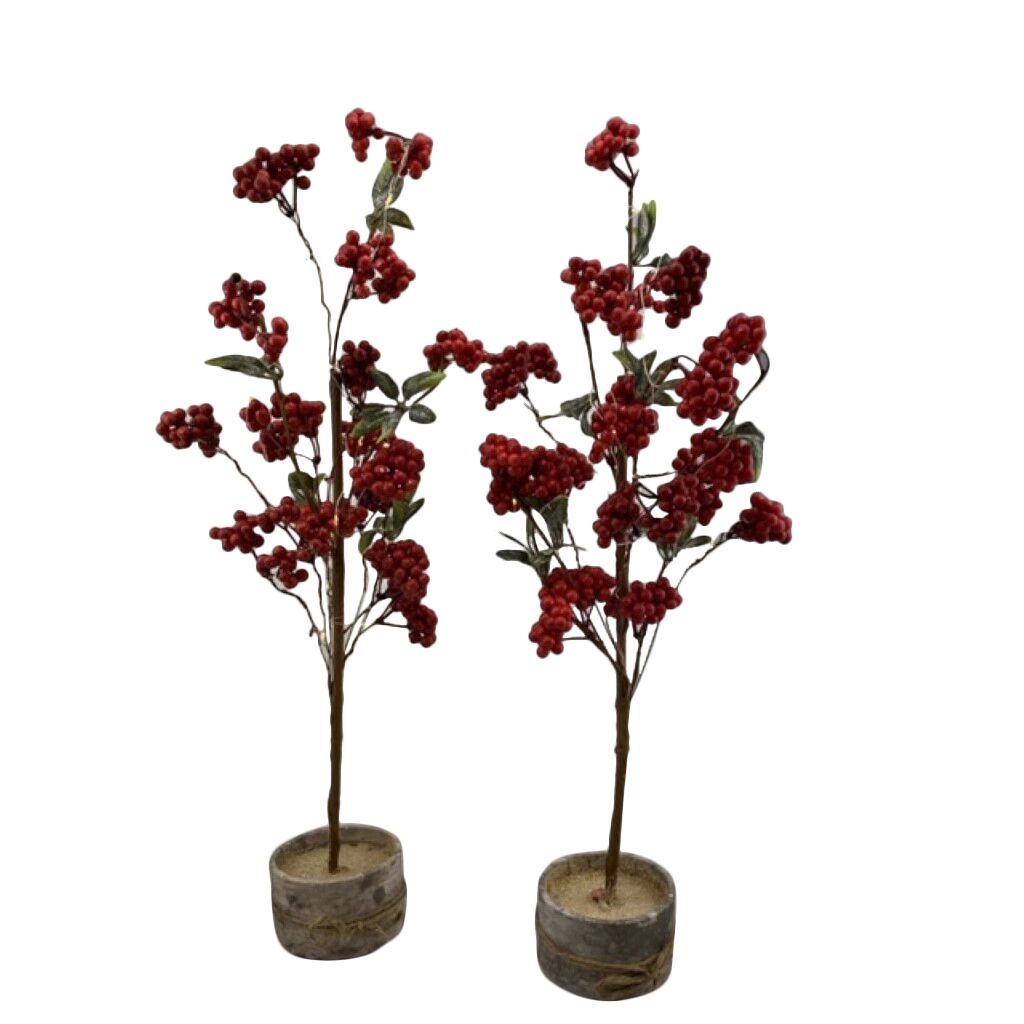 Two Foot Classic Green Tree Set Of 2 Pieces